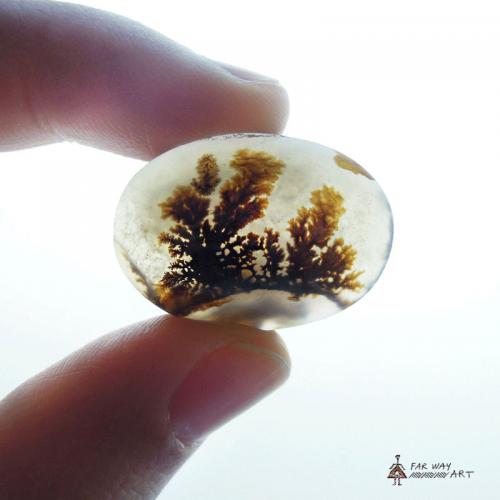 Transparent Oval Scenic Dendritic Agate