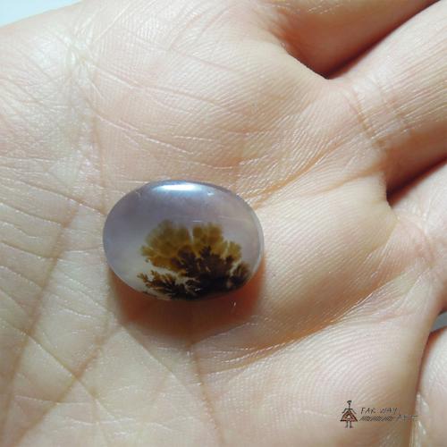 Scenic Dendritic Agate scenic dendritic agate2 farwayart